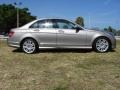 Pewter Metallic - C 300 Sport Photo No. 3