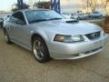 2004 Silver Metallic Ford Mustang GT Coupe  photo #7