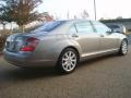 Pewter Metallic - S 550 Sedan Photo No. 5