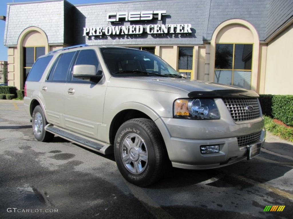 Cashmere Tri Coat Metallic Ford Expedition