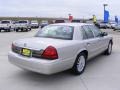 2008 Silver Birch Metallic Mercury Grand Marquis LS  photo #6