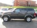 Brilliant Black Crystal Pearl - Nitro SE 4x4 Photo No. 13