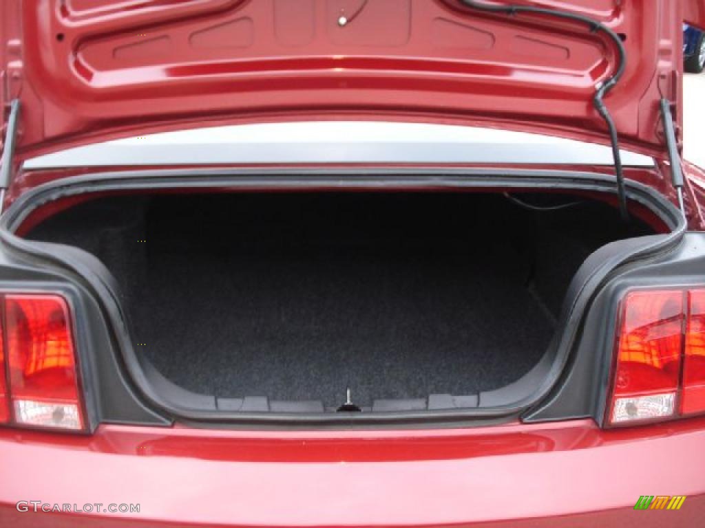 2008 Ford Mustang GT Premium Coupe Trunk Photo #40812243