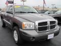 Mineral Gray Metallic - Dakota SLT Quad Cab 4x4 Photo No. 19