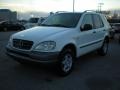 Polar White - ML 320 4Matic Photo No. 3