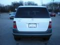 Polar White - ML 320 4Matic Photo No. 5