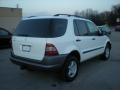 Polar White - ML 320 4Matic Photo No. 6