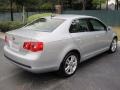 Reflex Silver Metallic - Jetta TDI Sedan Photo No. 10