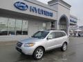Bright Silver - Santa Fe Limited 4WD Photo No. 1