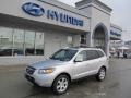 2007 Bright Silver Hyundai Santa Fe Limited 4WD  photo #1