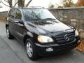 2002 Black Mercedes-Benz ML 320 4Matic  photo #1