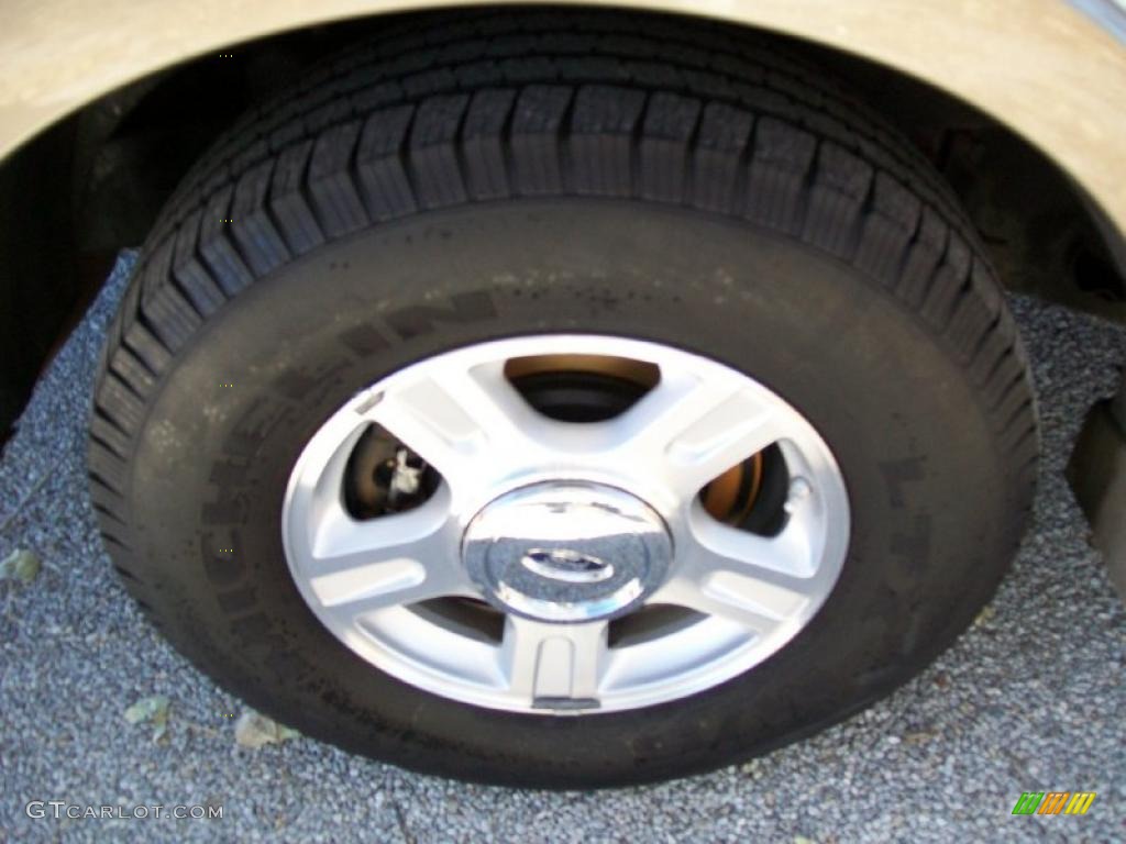 2004 Ford Expedition Eddie Bauer Wheel Photo #40856761