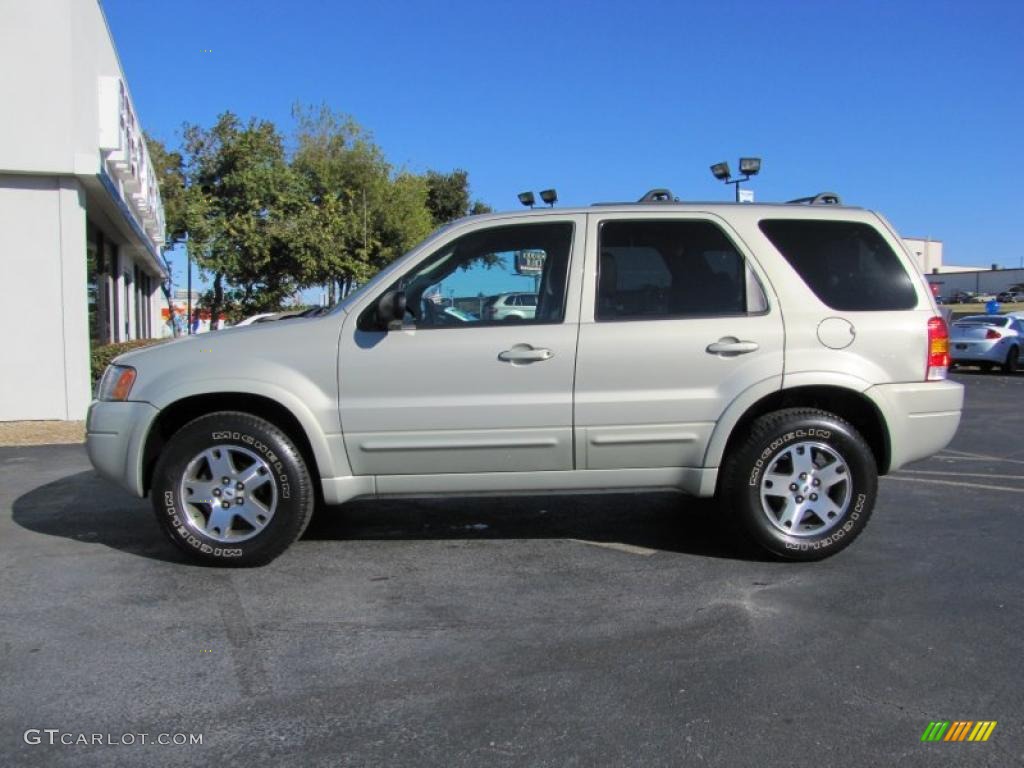 Gold Ash Metallic 2003 Ford Escape Limited Exterior Photo #40866621