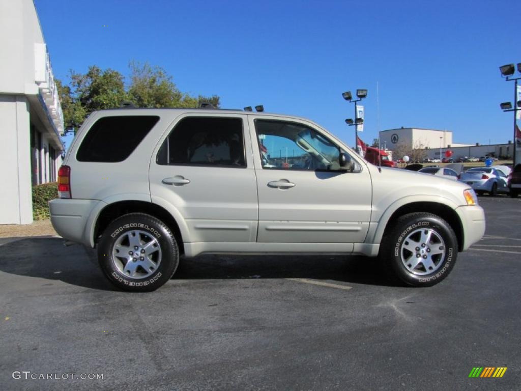 Gold Ash Metallic 2003 Ford Escape Limited Exterior Photo #40866645