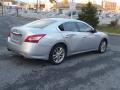 Radiant Silver Metallic - Maxima 3.5 SV Photo No. 10
