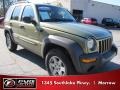 2003 Cactus Green Pearl Jeep Liberty Sport 4x4  photo #4