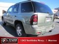 Silver Green Metallic - TrailBlazer LS Photo No. 2