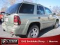 Silver Green Metallic - TrailBlazer LS Photo No. 3