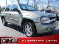 Silver Green Metallic - TrailBlazer LS Photo No. 4