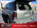 Silver Green Metallic - TrailBlazer LS Photo No. 10