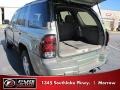 Silver Green Metallic - TrailBlazer LS Photo No. 11