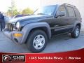 Black Clearcoat 2004 Jeep Liberty Sport