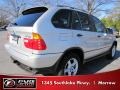 2001 Titanium Silver Metallic BMW X5 3.0i  photo #3