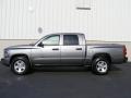 2010 Mineral Gray Metallic Dodge Dakota Big Horn Crew Cab 4x4  photo #11