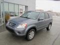 Pewter Pearl - CR-V Special Edition 4WD Photo No. 2