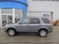 Pewter Pearl - CR-V Special Edition 4WD Photo No. 3