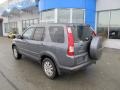 Pewter Pearl - CR-V Special Edition 4WD Photo No. 4