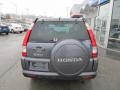 Pewter Pearl - CR-V Special Edition 4WD Photo No. 5