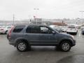 Pewter Pearl - CR-V Special Edition 4WD Photo No. 7