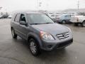 Pewter Pearl - CR-V Special Edition 4WD Photo No. 8