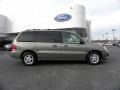 Spruce Green Metallic 2004 Ford Freestar SEL Exterior