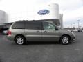 Spruce Green Metallic 2004 Ford Freestar SEL Exterior