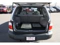 Silverthorn Metallic - Forester 2.5 L Photo No. 24