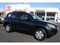 Black Forest Pearl - RAV4 4WD Photo No. 1
