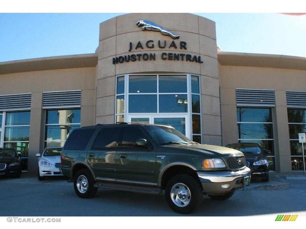 Estate Green Metallic Ford Expedition