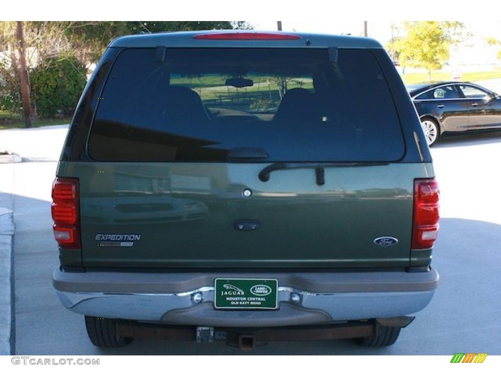 2001 Expedition Eddie Bauer 4x4 - Estate Green Metallic / Medium Parchment photo #11