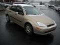 Fort Knox Gold Metallic - Focus LX Sedan Photo No. 2