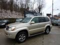 Savannah Beige Metallic - GX 470 Photo No. 1