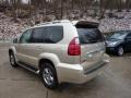 Savannah Beige Metallic - GX 470 Photo No. 2