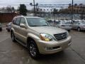 Savannah Beige Metallic - GX 470 Photo No. 5