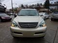 Savannah Beige Metallic - GX 470 Photo No. 6