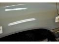 2001 Riverrock Green Metallic Lexus LX 470  photo #20