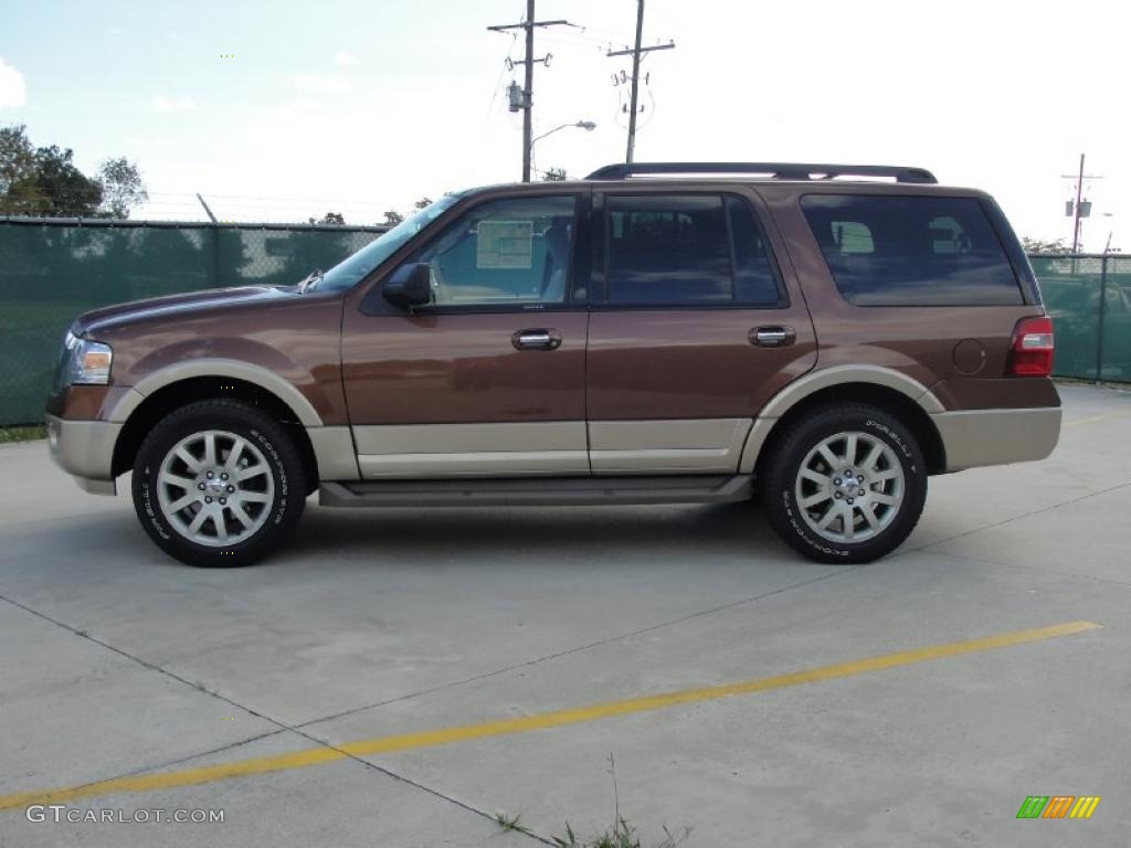 2011 Expedition XLT - Golden Bronze Metallic / Camel photo #6