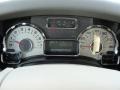 Camel Gauges Photo for 2011 Ford Expedition #40923361