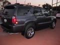2006 Shadow Mica Toyota 4Runner Limited  photo #5