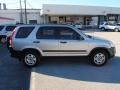 Silver Moss Metallic - CR-V LX Photo No. 5